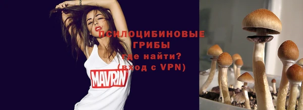 мдма Ладушкин