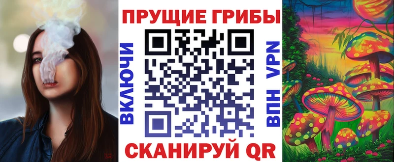 Псилоцибиновые грибы мицелий  shop официальный сайт  Мосальск  OMG как зайти 